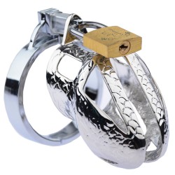 Male Chastity Device Men Bird Lock CB6000S