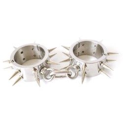 Spiked Stainless Steel Bondage Kit