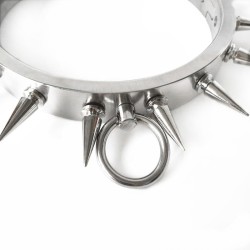 Spiked Stainless Steel Bondage Kit