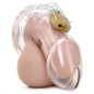 CB 6000 Male Chastity Device Clear