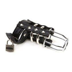 Leather &amp; Steel Cock Cage