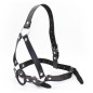 Sturdy Ring Gag Trainer