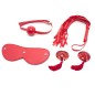 Ball Gag / Blindfold / Flogger with Nipple Cover Kit