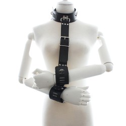 Neck To Locking Wrist Restraint