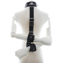 Neck To Locking Wrist Restraint