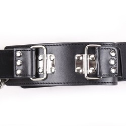 Neck To Locking Wrist Restraint