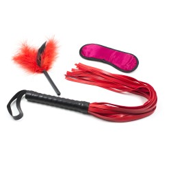 Blindfold Whip and Tickler Bondage Kit