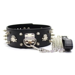 Collar Lockable With  Full Spikes