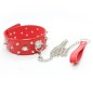 Collar Lockable With  Full Spikes