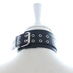 Double Pins Buckle Collar with One D-Ring