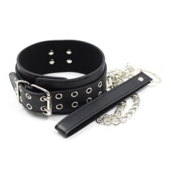 Double Pins Buckle Collar with One D-Ring