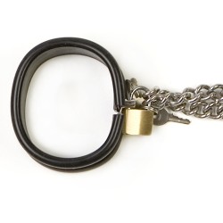 Rapture Stainless Steel Band Wrist Shackles