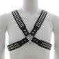 Harness With Two Rows O Shiny Pyramid Studs