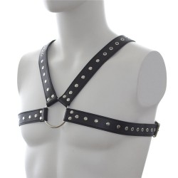 Leather Harness with Stud Detailing