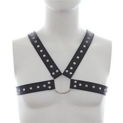 Leather Harness with Stud Detailing