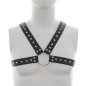 Leather Harness with Stud Detailing