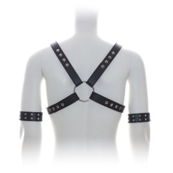 Male Chest Harness With Arm Cuffs