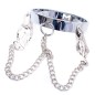 Chrome M Slave Collar With Japanese Clover Clamps