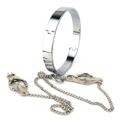 Chrome Slave Collar With Japanese Clover Clamps