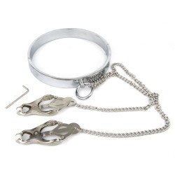 Chrome Slave Collar With Japanese Clover Clamps