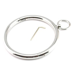 Stainless Steel Chrome Slave Collar with Nipple Clamps