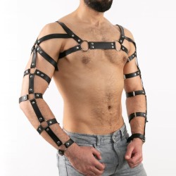 Arm and Shoulder Restraints Harness