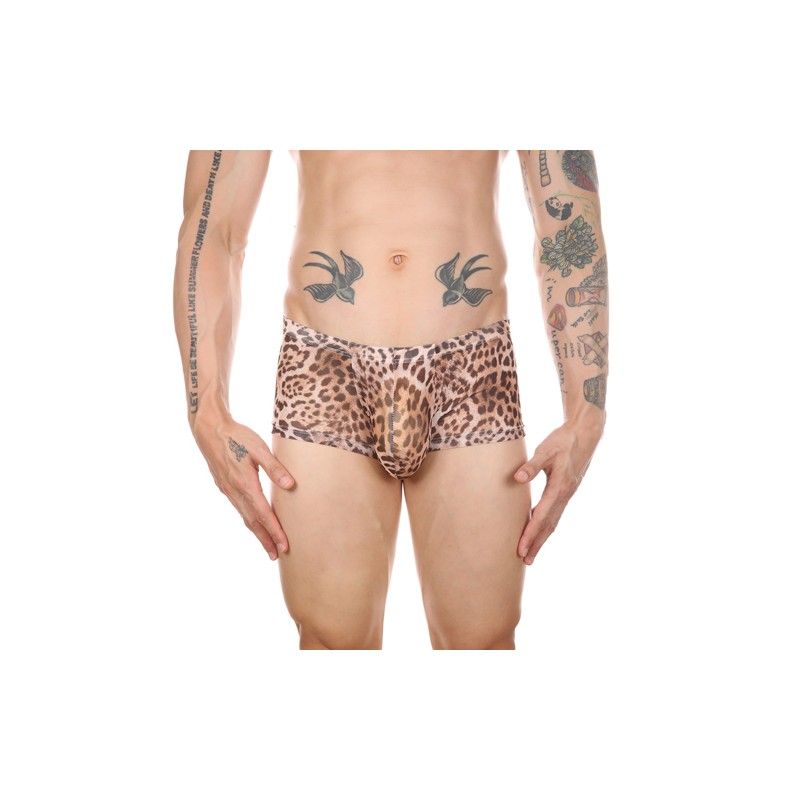 Men Sexy Transparent Leopard Mesh Boxers Briefs