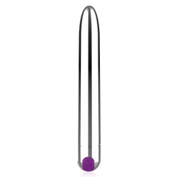 Pussycat Rechargeable Silver Bullet Vibe