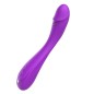 Vega G Spot Dildo Vibrator