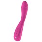 Vega G Spot Dildo Vibrator