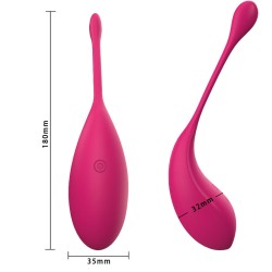 APP Smart Wireless Sex Egg