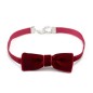 N338 Bow With Ring Christmas Collar