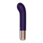 Luxurious Pleasure G-spot Bullet Vibrator