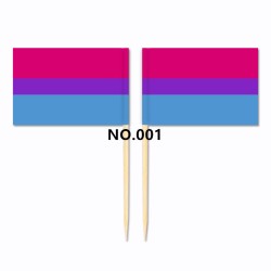 D704 Pride Toothpick Flag-100pcs