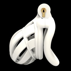 Big Head Plastic Chastity Cage