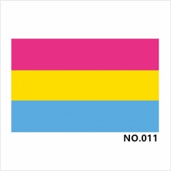 D701 Rainbow Pride Flag