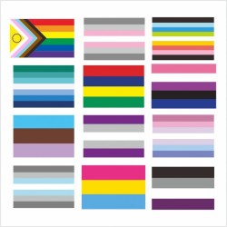 D701 Rainbow Pride Flag