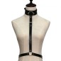 Waist Belt strap With O Ring Collar