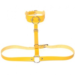 Waist Belt strap With O Ring Collar