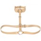 Waist Belt strap With O Ring Collar