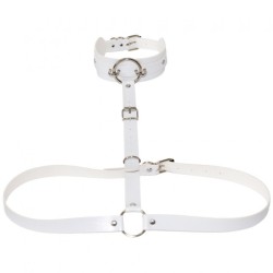 Waist Belt strap With O Ring Collar