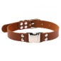 Magnetic Leather Collar