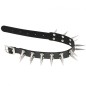 Double Row Long Spiked Rivet Collar