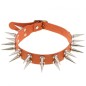 Double Row Long Spiked Rivet Collar