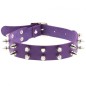 Double Row Spiked Rivet Leather Collar