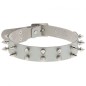 Double Row Spiked Rivet Leather Collar