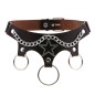 Five Star Chain Collar