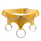 Five Star Chain Collar