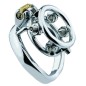 Rivet Screw Double Ring Chastity Lock Cage