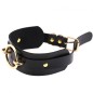 Golden O-Ring Punk Collar